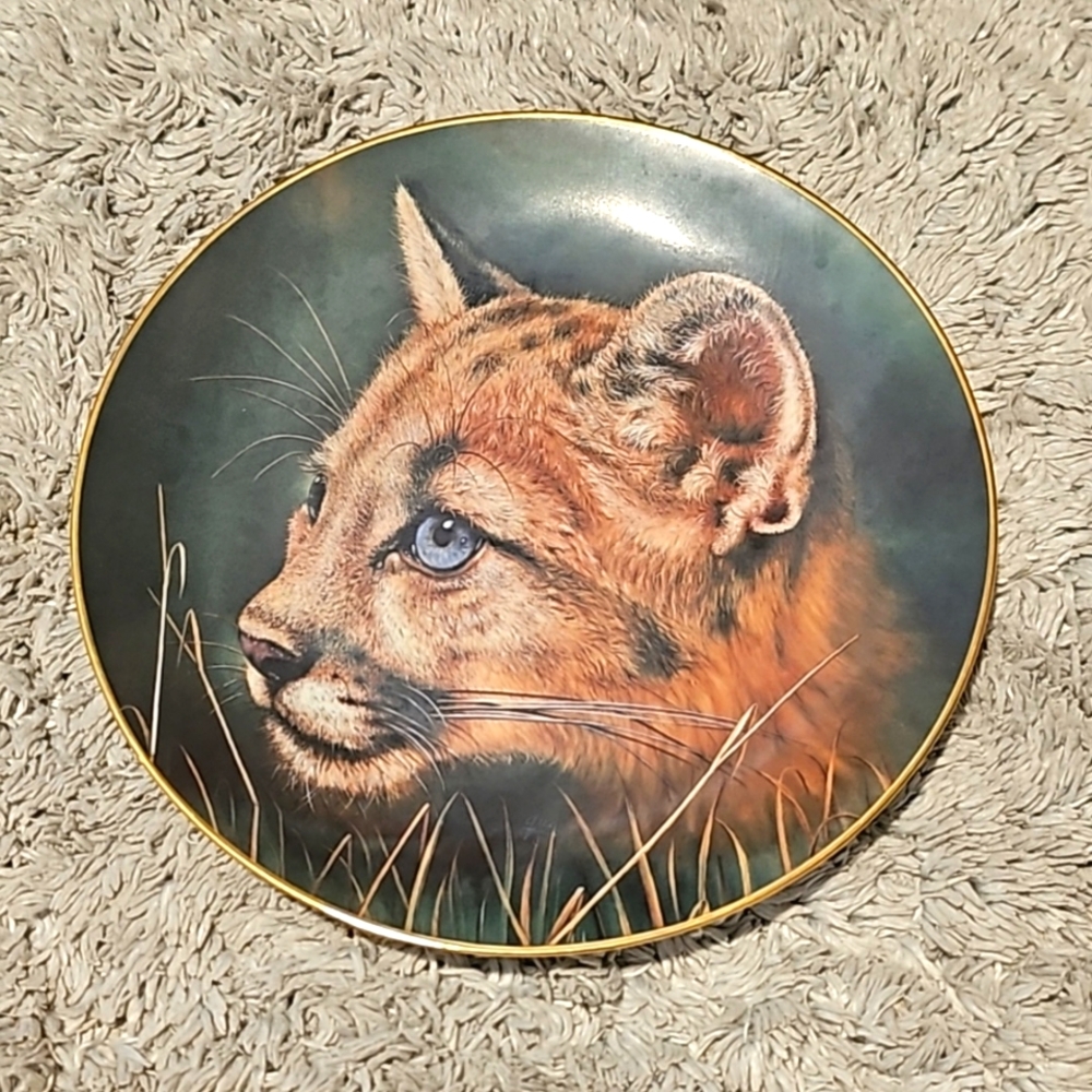 ✨️Princeton Gallery Cubs of Big Cats Collection Plate Cougar Cub Limited Edition